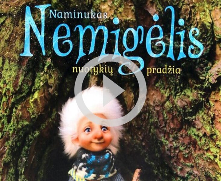 Audio / Video knyga Naminukas Nemigėlis nuotykių pradžia