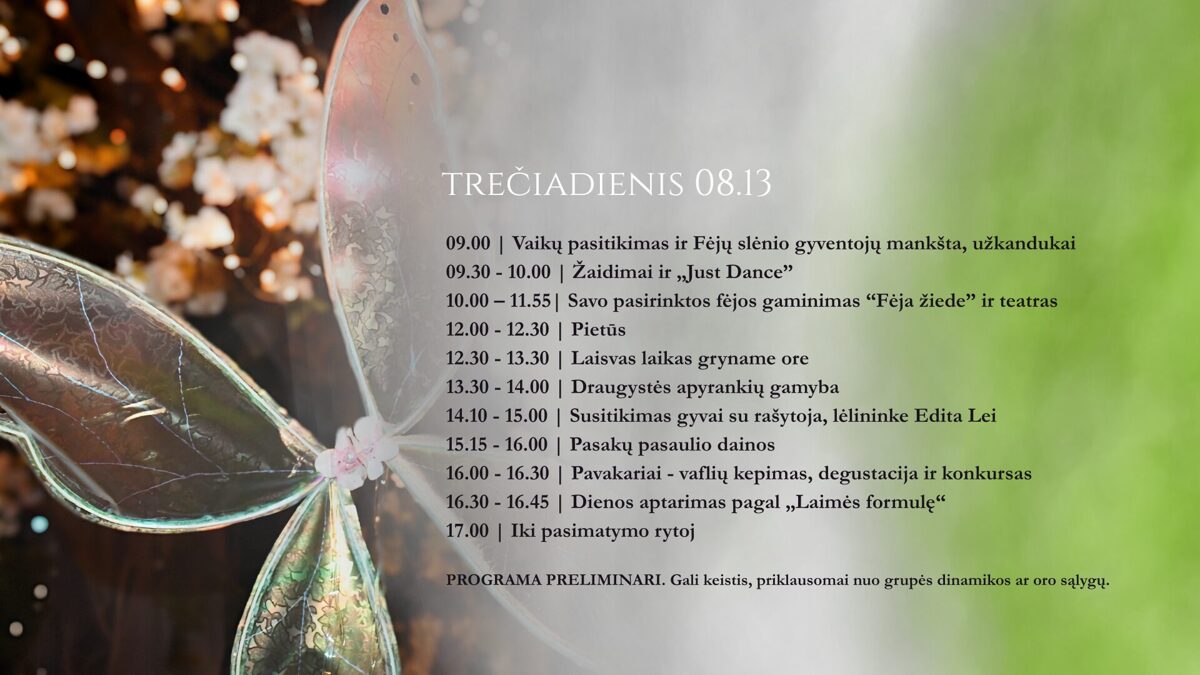 8_Programa-Fejiska-stovykla-mergaitems__3_-1.jpg